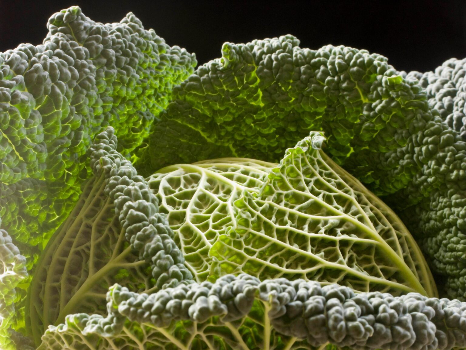This Inexpensive Vegetable Is Your Secret Weapon to Hitting Your Fiber Goals