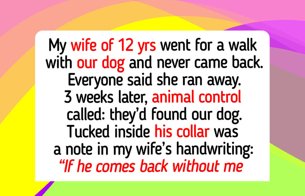 12 Acts of Kindness That Prove Animal Shelters Still Hold the Quiet Compassion Our World Needs in 2026 12 Acts of Kindness That Prove Animal Shelters Still Hold the Quiet Compassion Our World Needs in 2026