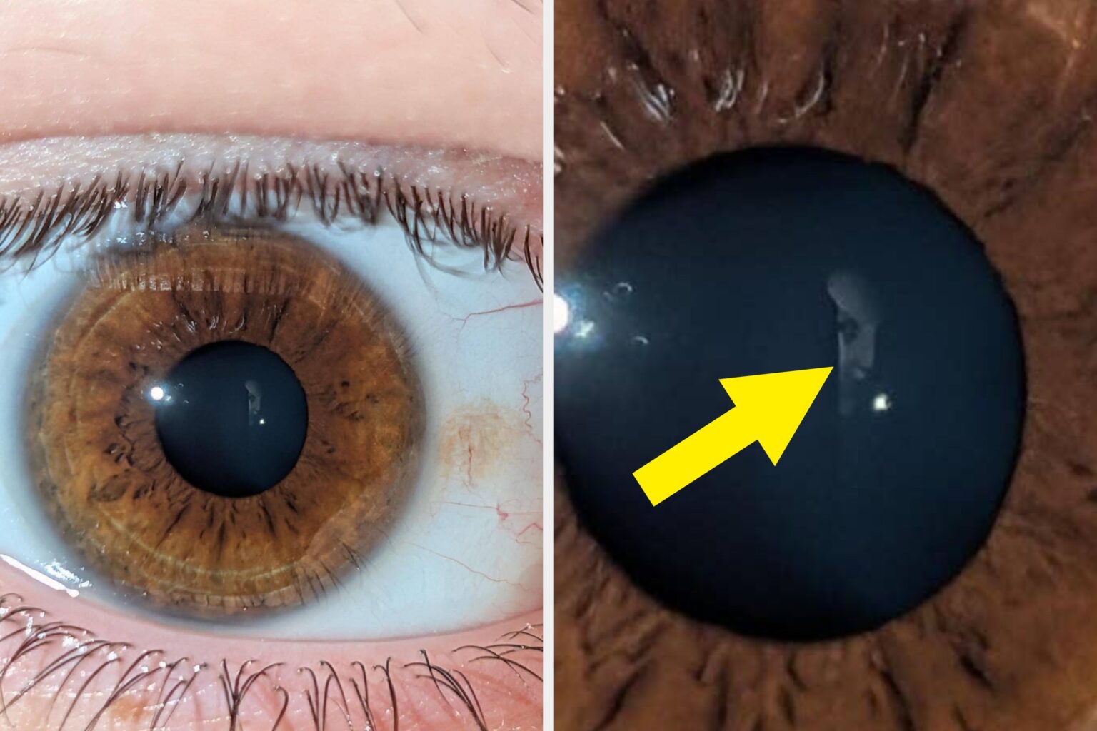 36 Photos I Found This Month That Broke My Brain In Every Way Possible