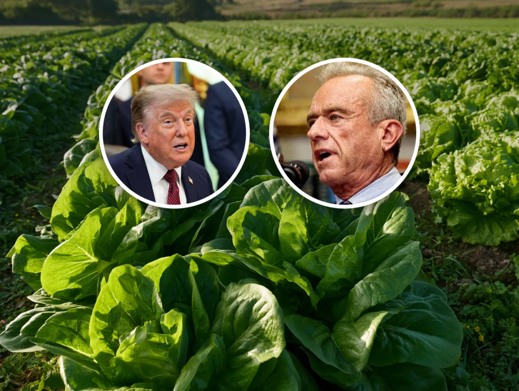 Publisher’s Platform: The Fifty-State Cyclospora count is 20,927 this morning. The President has said one thing about it. The Secretary says it is under control. Here is what they should have said instead. Publisher’s Platform: The Fifty-State Cyclospora count is 20,927 this morning. The President has said one thing about it. The Secretary says it is under control. Here is what they should have said instead.