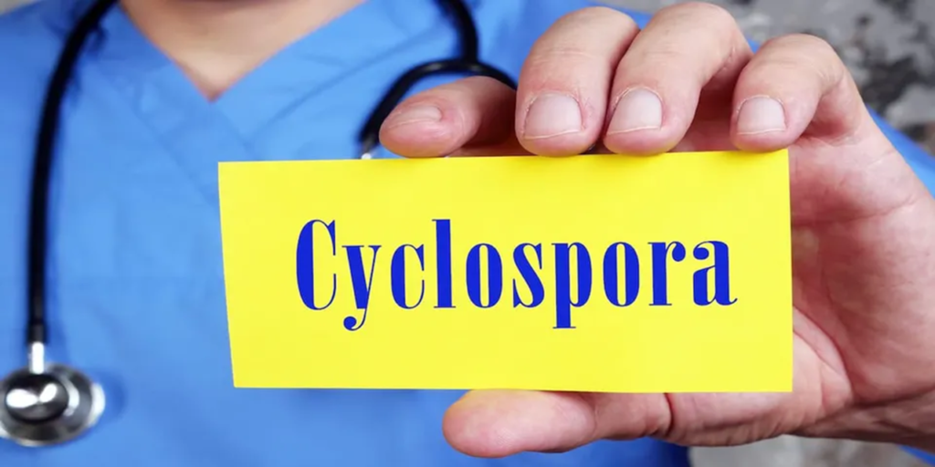 UK officials note rise in Cyclospora infections