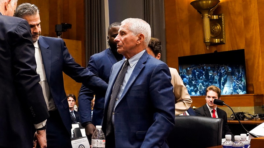 Critics and allies chime in after Fauci hearing Critics and allies chime in after Fauci hearing
