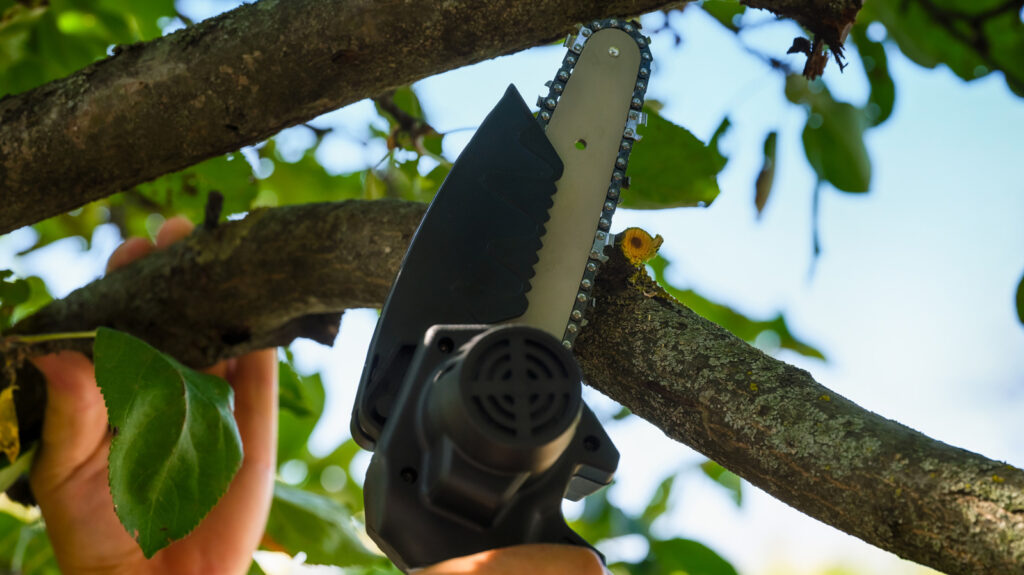 Will A Mini Chainsaw Cut Down A Tree? Here’s What The Tool Can Do (Safely) Will A Mini Chainsaw Cut Down A Tree? Here’s What The Tool Can Do (Safely)