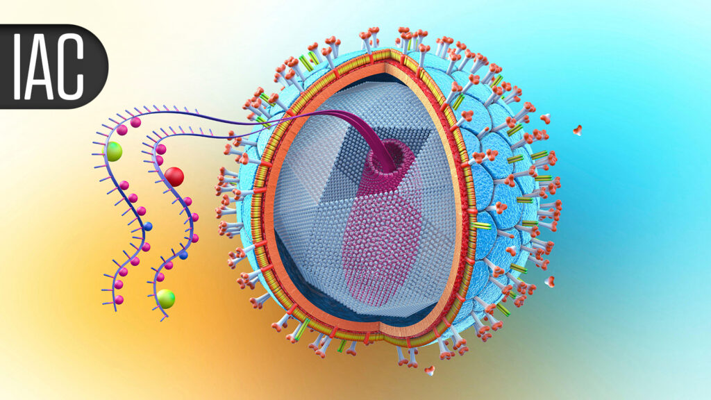 Long-Acting Lenacapavir Still Delivered Effective HIV PrEP After a Year