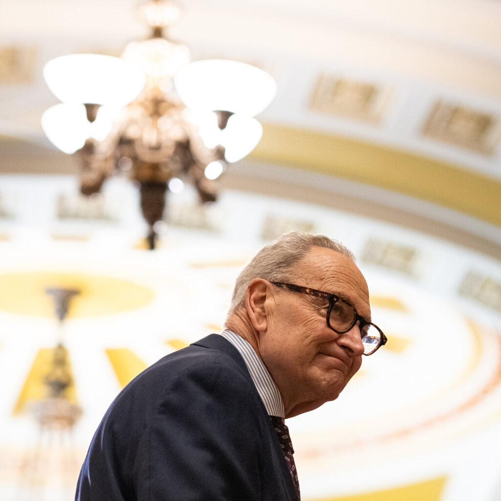 A Spurned Schumer Reaches Out to the Left