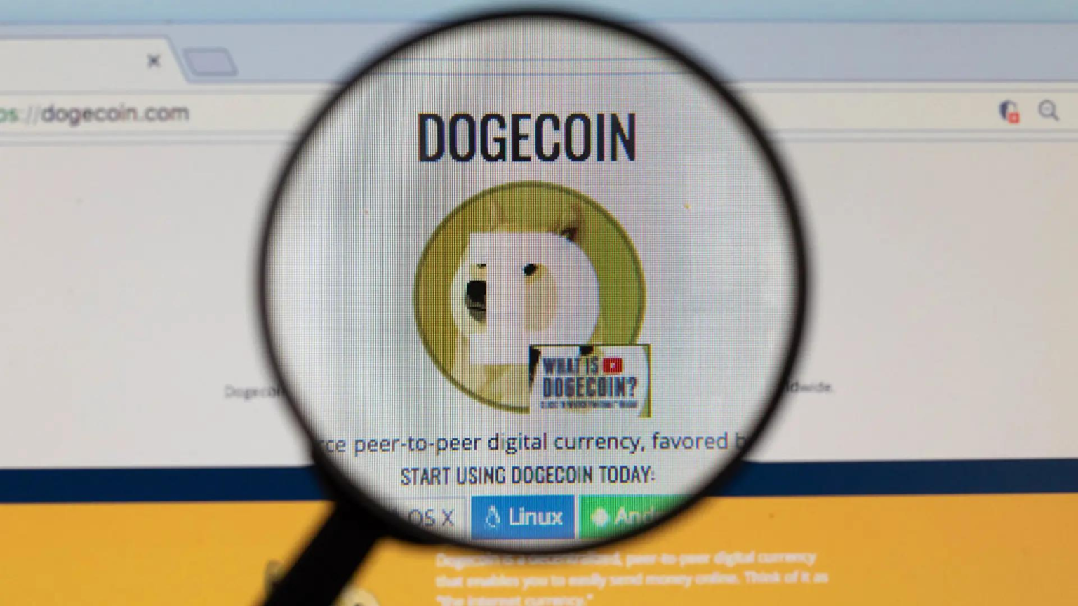 Speculation on dogecoin is back to October 2025 levels. The price is down 70% Speculation on dogecoin is back to October 2025 levels. The price is down 70%