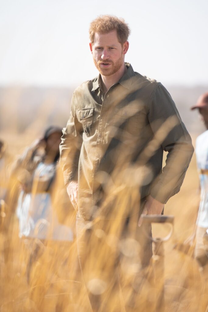 Prince Harry Sends Princess Diana’s Legacy Funding to the Elephants