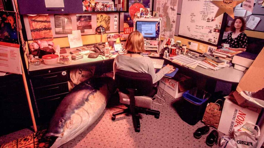 Yahoo, the internet’s ‘OG’, wants to win over Gen Z