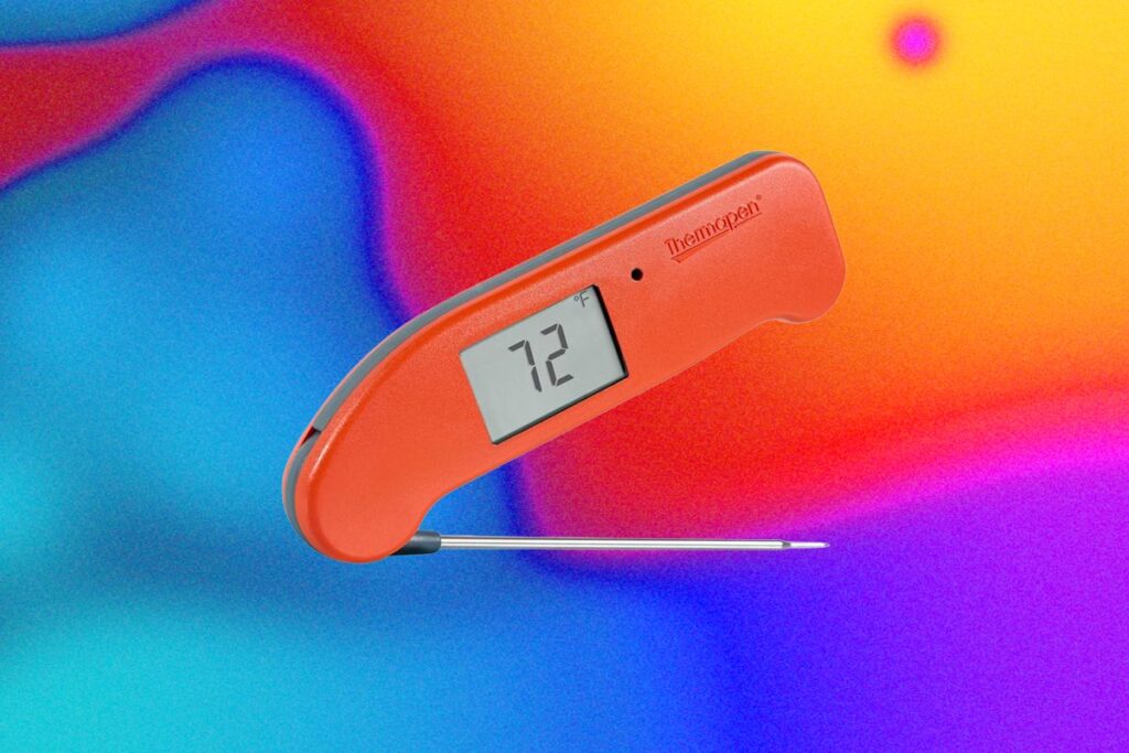 The Best Kitchen Gadget to Prevent Salmonella Is a Good Meat Probe
