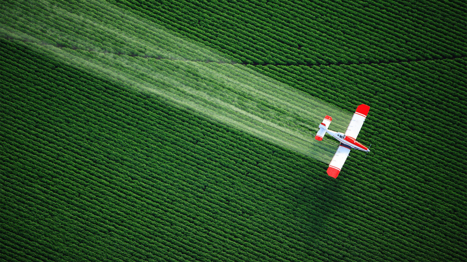 What New Research Shows About Prenatal Pesticide Exposure and Autism Traits