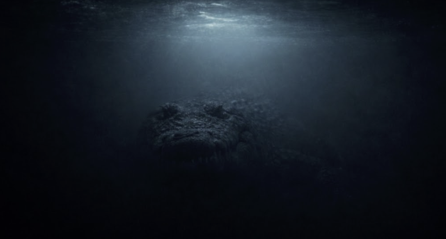 Triathlon coach survives alligator attack during open-water training at IM 70.3 Augusta swim course