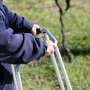 Older Australians in the dark about osteoporosis, research finds