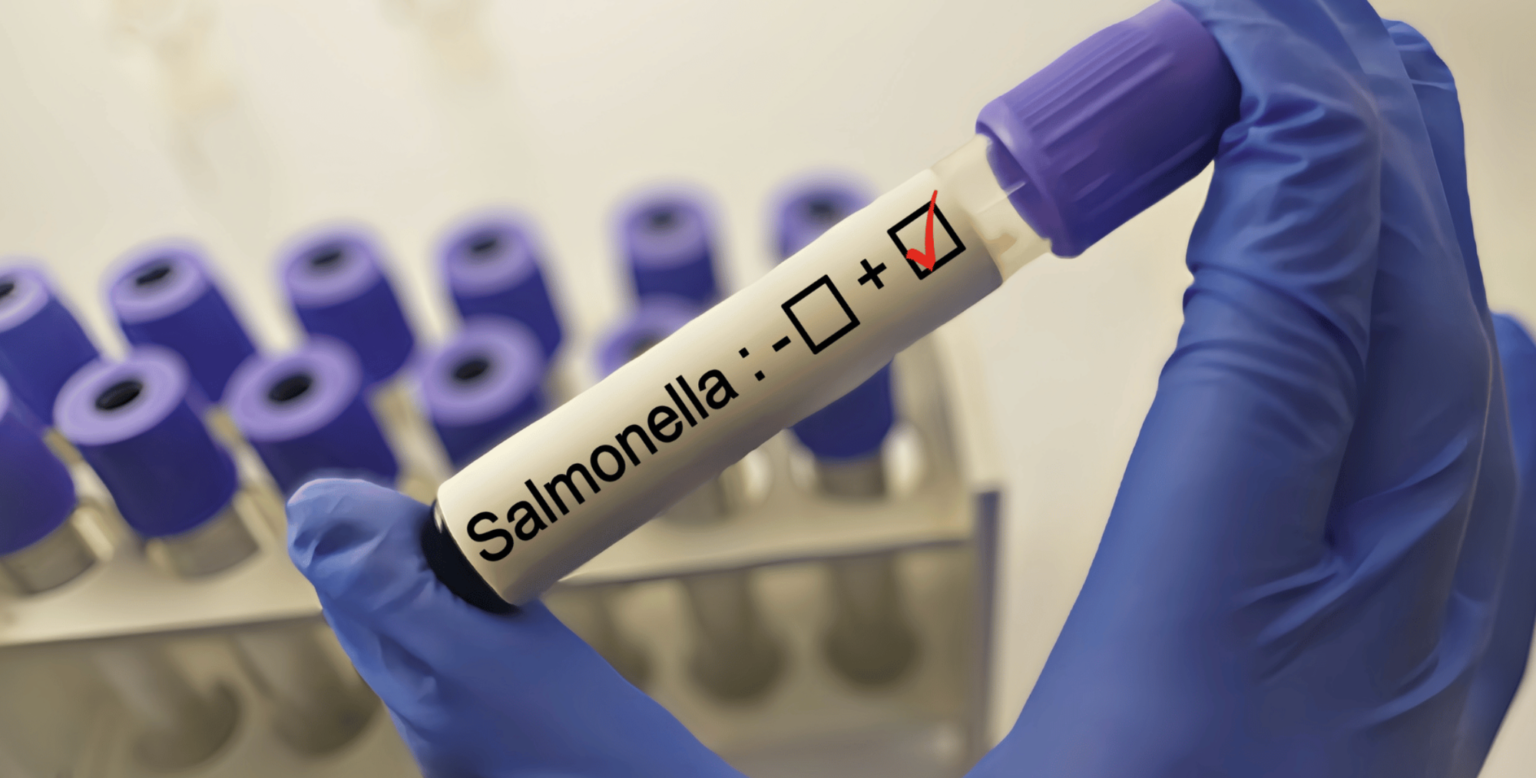 More than 80 patients reported in new Salmonella outbreak More than 80 patients reported in new Salmonella outbreak