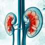 Short-term pretransplant dialysis does not affect kidney transplant outcomes