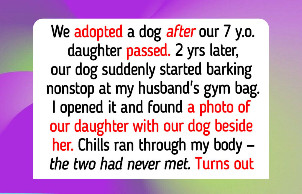 11 Real Animal Moments That Prove Rescue Dogs and Cats Still Guide People to Happiness, Even in 2026