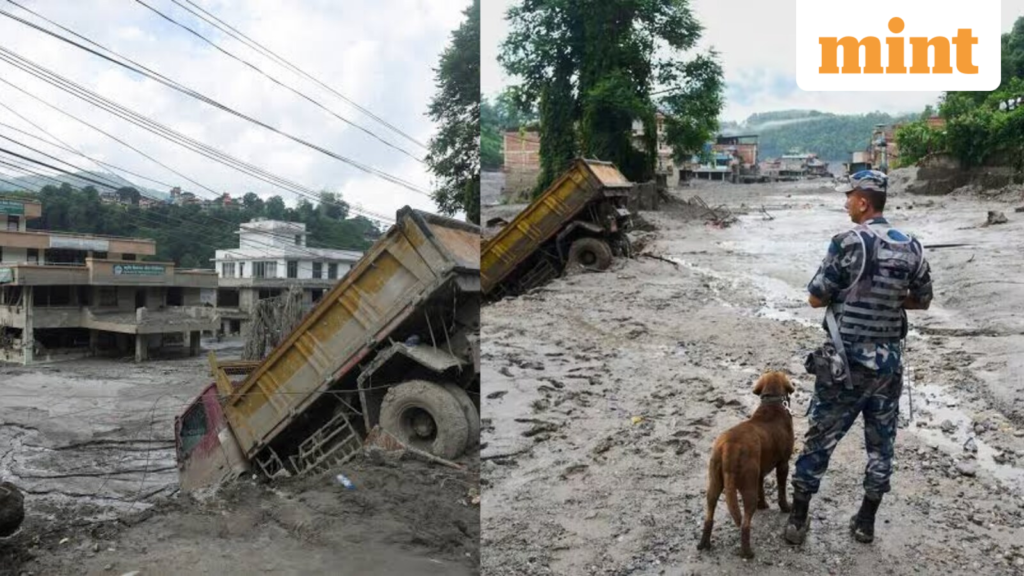 Nepal floods: Bus carrying rescued survivors crashes, 32 injured; death toll nears 800 Nepal floods: Bus carrying rescued survivors crashes, 32 injured; death toll nears 800
