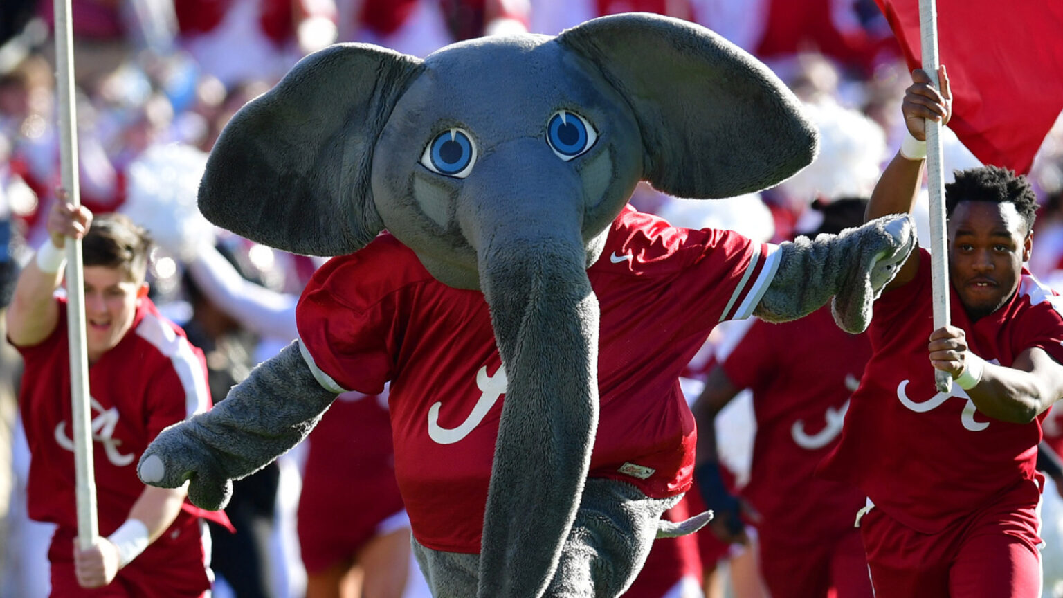The ‘College football color teams’ quiz