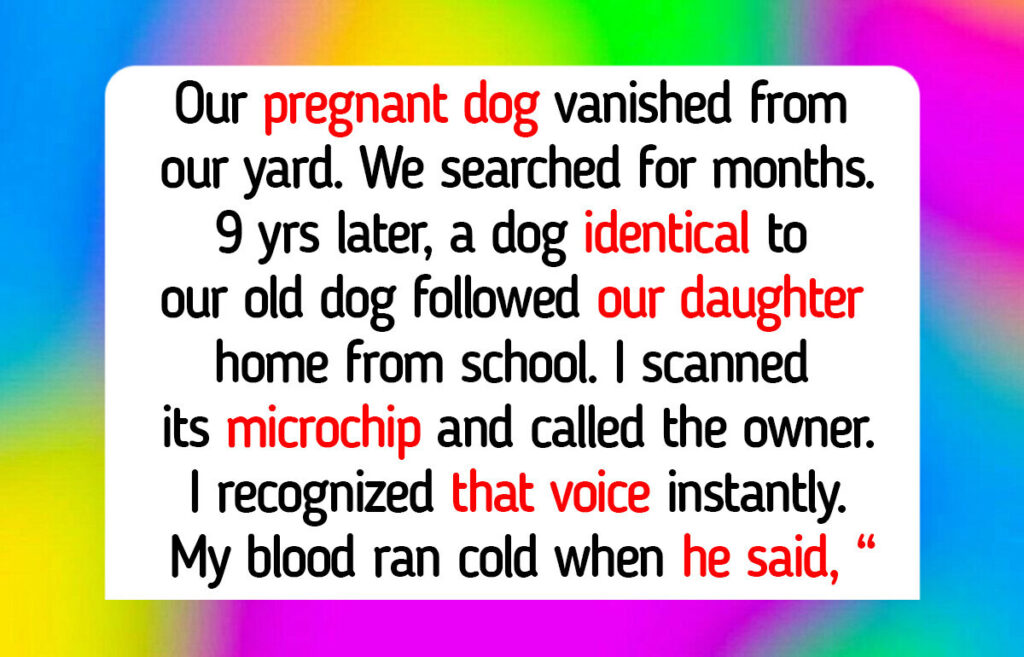 13 Animal Shelter Moments That Teach Us Tender Compassion and Quiet Generosity Have No Species