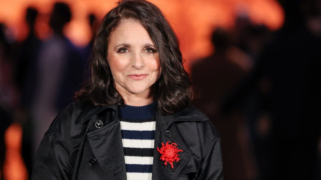 Julia Louis-Dreyfus Admits She Was Never a ‘Friends’ Fan: ‘I’ve Seen Bits and Bobs’ Julia Louis-Dreyfus Admits She Was Never a ‘Friends’ Fan: ‘I’ve Seen Bits and Bobs’