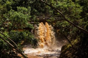 Trump considers narrowing water pollution protections Trump considers narrowing water pollution protections