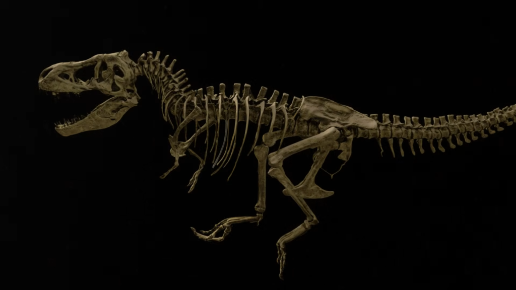 ‘Winning the lottery’: Preserved fossil tissue reveals shocking cause of death for largest T. Rex ever found