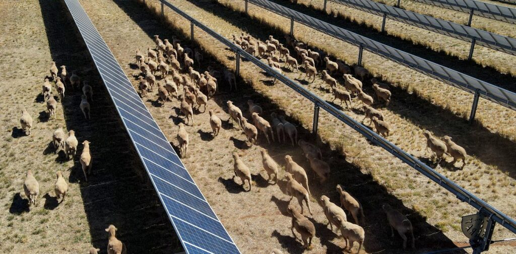 Farmers can now produce more of their own energy than ever – but will they? Farmers can now produce more of their own energy than ever – but will they?
