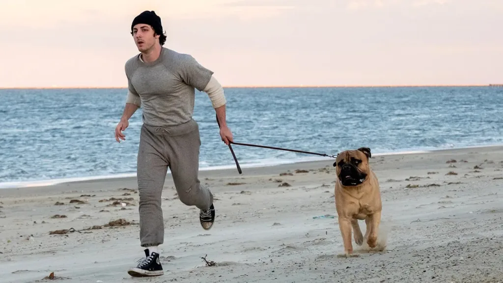 ‘I Play Rocky’ Review: Peter Farrelly’s Sensational Biopic Of The Making Of Stallone’s Classic Is Just As Inspiring As The Original Movie – Toronto Film Festival