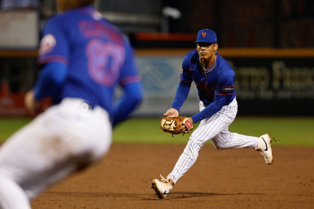 Prospects Mitch Voit and Jonathan Santucci making Mets take notice with award-winning seasons Prospects Mitch Voit and Jonathan Santucci making Mets take notice with award-winning seasons