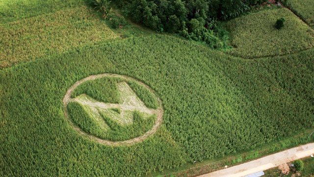 Monsanto’s Cruel, and Dangerous, Monopolization on American Farming (2008) Monsanto’s Cruel, and Dangerous, Monopolization on American Farming (2008)