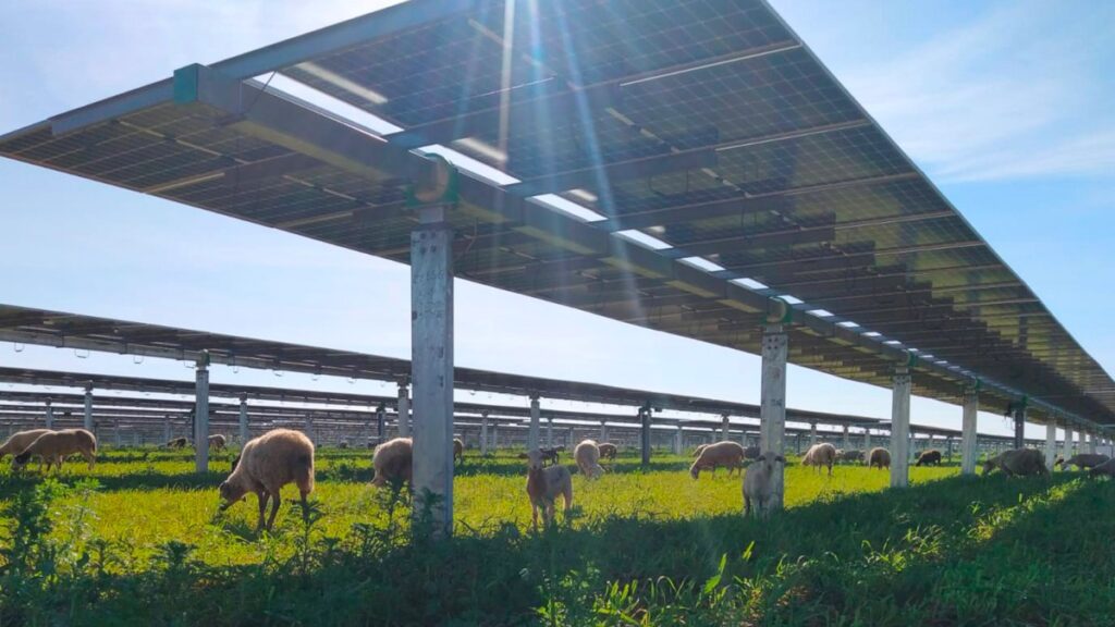 Turkey Bets $108 Billion on Wind and Solar While Expanding Oil and Gas Turkey Bets $108 Billion on Wind and Solar While Expanding Oil and Gas