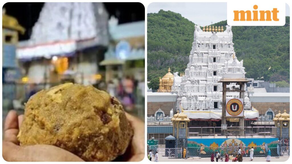 TTD News: Who is Kailash Chand Manglam? ED arrests supplier in Tirupati Laddu ghee adulteration case TTD News: Who is Kailash Chand Manglam? ED arrests supplier in Tirupati Laddu ghee adulteration case