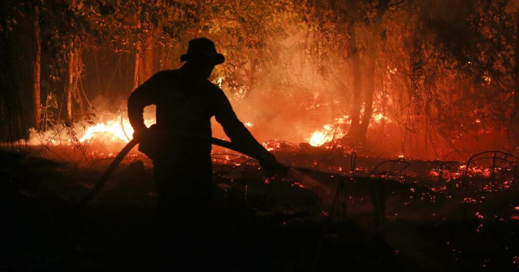El Niño could cause 451,000 more heat deaths compared to normal year, group says
