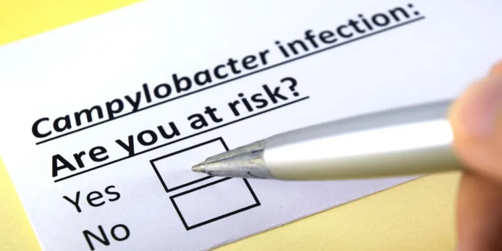 Study findings challenge Campylobacter coli knowledge