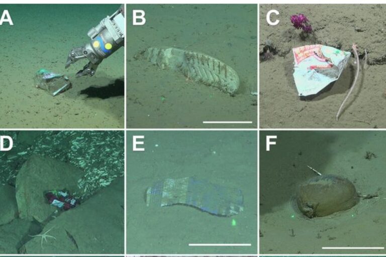Plastic and rubber litter found in remote submarine canyon off Argentina’s coast Plastic and rubber litter found in remote submarine canyon off Argentina’s coast