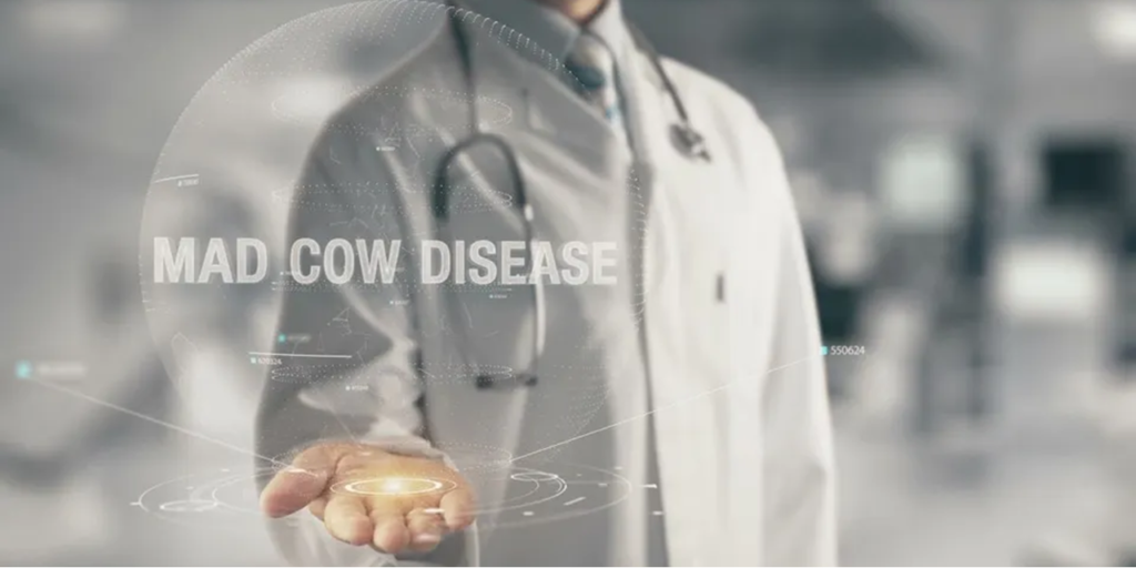 BSE case prompts the Philippines to ban UK beef BSE case prompts the Philippines to ban UK beef