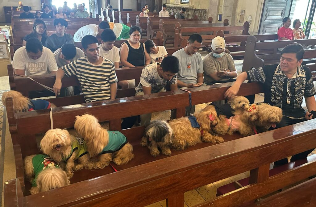 Wagging tails fill Malate Church as priests bless pets for St. Francis feast Wagging tails fill Malate Church as priests bless pets for St. Francis feast