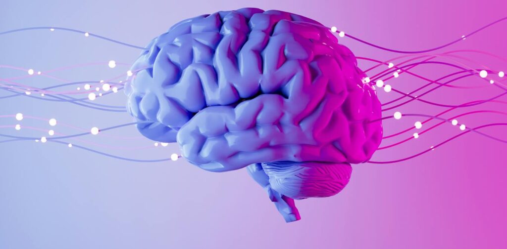 Optogenetics wins the Nobel – one neuroscience breakthrough in a line of technological innovations helping scientists map and control the brain