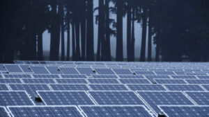 TP Solar’s output of made-in-India modules rises to 1GW