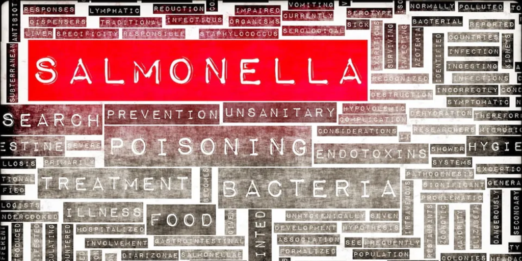 EU-wide seasonal Salmonella outbreak strikes again EU-wide seasonal Salmonella outbreak strikes again
