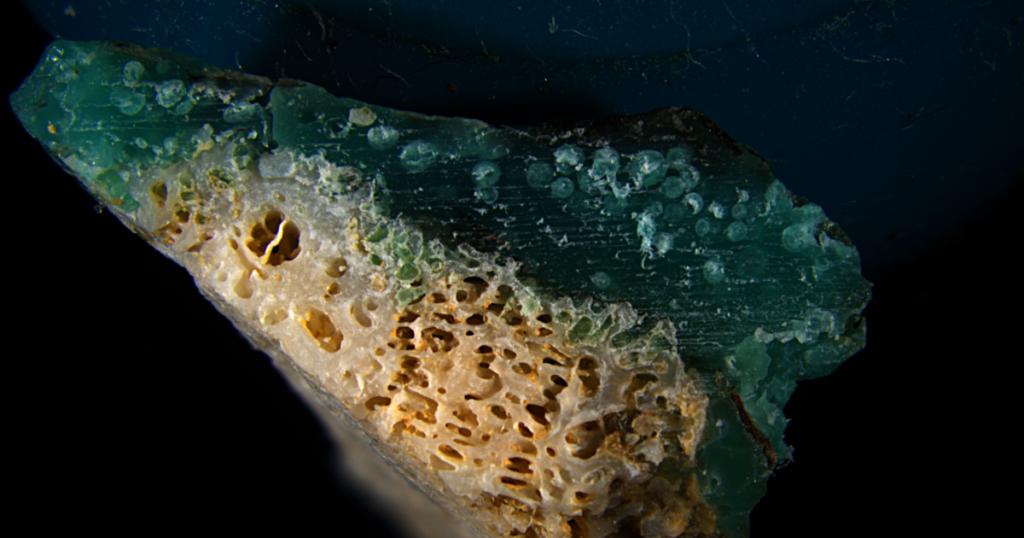 New plastic pollution discovered: ‘Plasticorals’ coral rubble fused with plastic