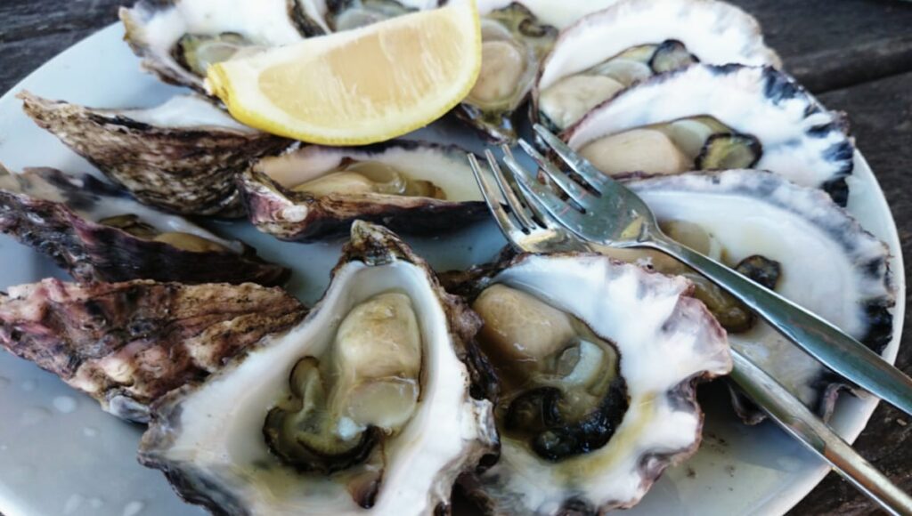 Virginia reporting more patients than CDC in outbreak traced to oysters
