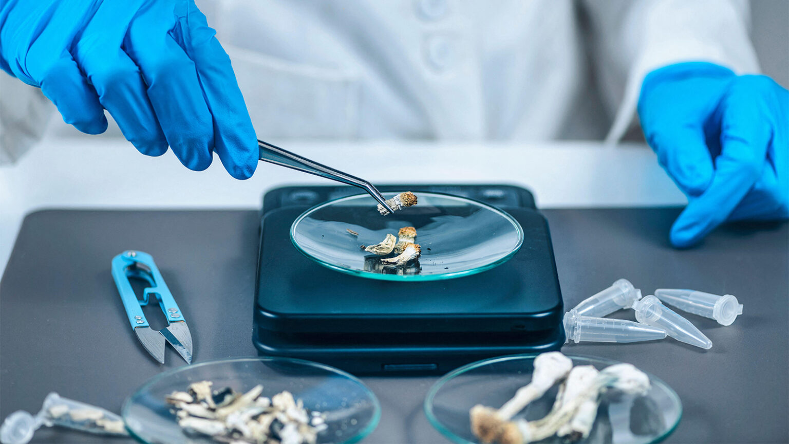 Psilocybin Tied to Lower Inflammation in Parkinson’s Trial